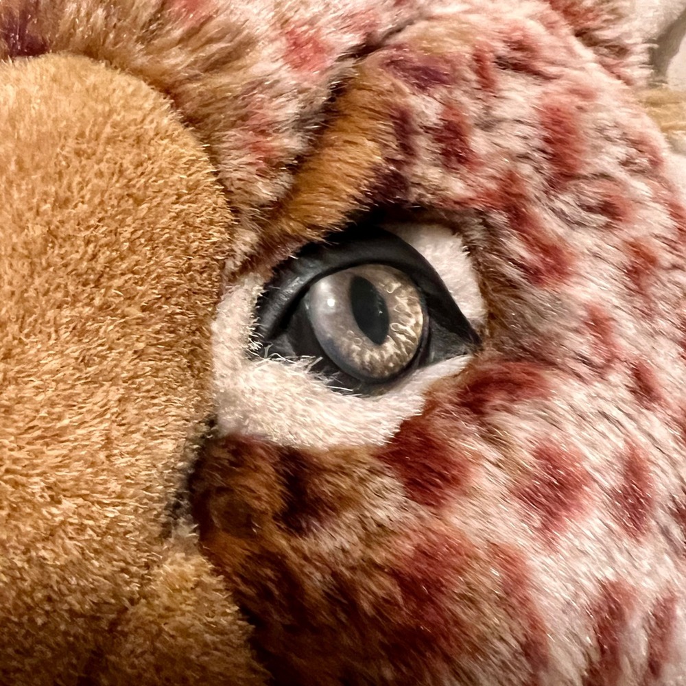 Lynx Large Spotted Plush Stuffed Animal Brown Tan Realistic Excellent Wild - Picture 9 of 13